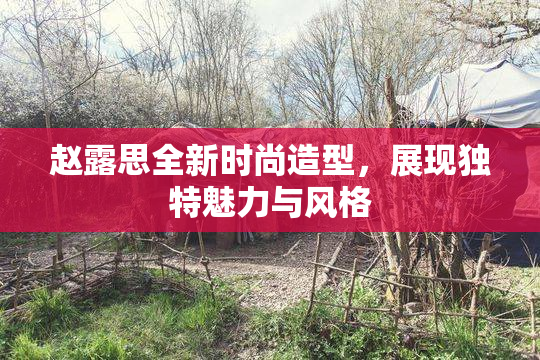 赵露思全新时尚造型，展现独特魅力与风格