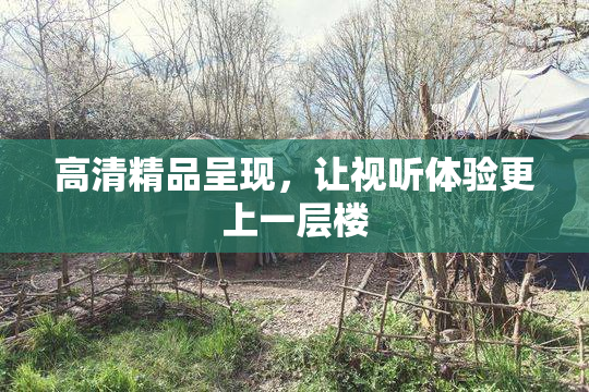 高清精品呈现，让视听体验更上一层楼