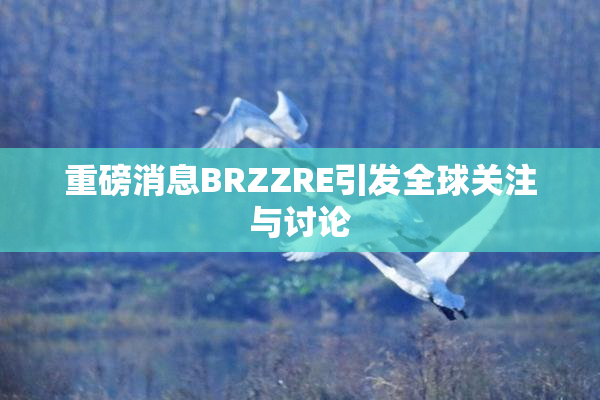 重磅消息BRZZRE引发全球关注与讨论