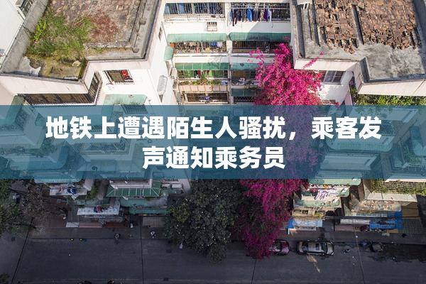地铁上遭遇陌生人骚扰，乘客发声通知乘务员