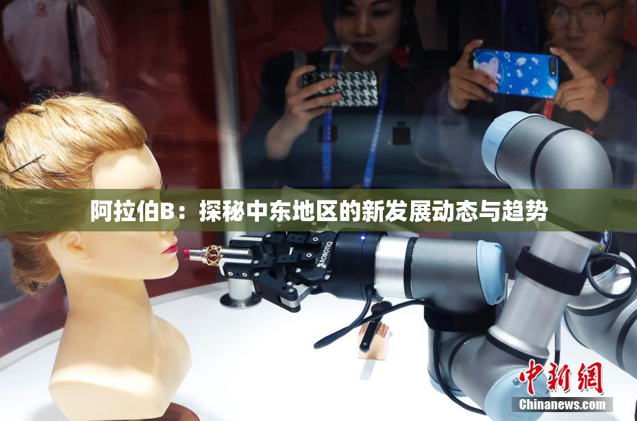 阿拉伯B：探秘中东地区的新发展动态与趋势