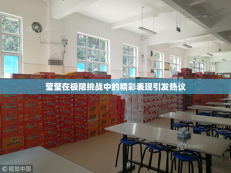 莹莹在极限挑战中的精彩表现引发热议