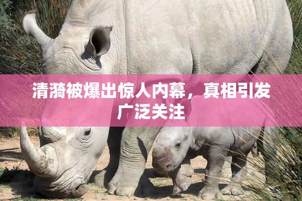 清漪被爆出惊人内幕，真相引发广泛关注