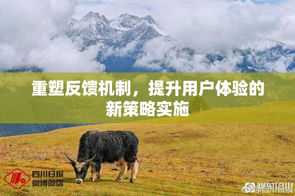 重塑反馈机制，提升用户体验的新策略实施