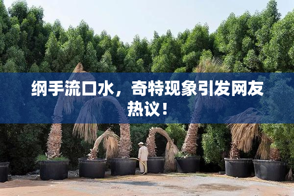 纲手流口水，奇特现象引发网友热议！