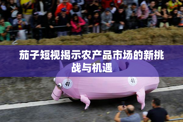 茄子短视揭示农产品市场的新挑战与机遇