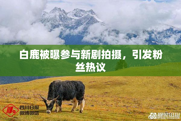 白鹿被曝参与新剧拍摄，引发粉丝热议