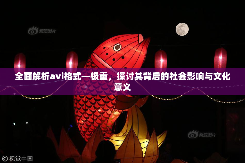全面解析avi格式―极重，探讨其背后的社会影响与文化意义