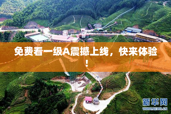 免费看一级A震撼上线，快来体验！