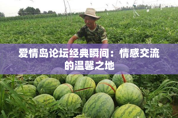 爱情岛论坛经典瞬间：情感交流的温馨之地