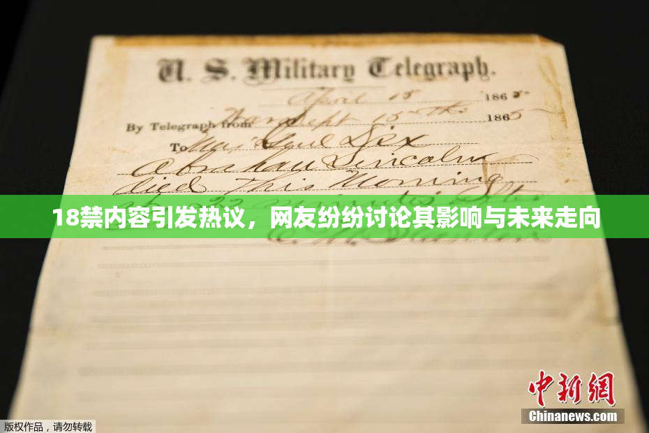 18禁内容引发热议，网友纷纷讨论其影响与未来走向