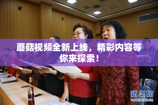 蘑菇视频全新上线，精彩内容等你来探索！