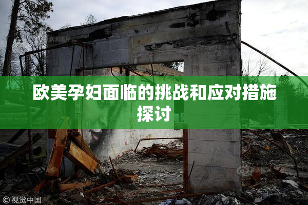 欧美孕妇面临的挑战和应对措施探讨