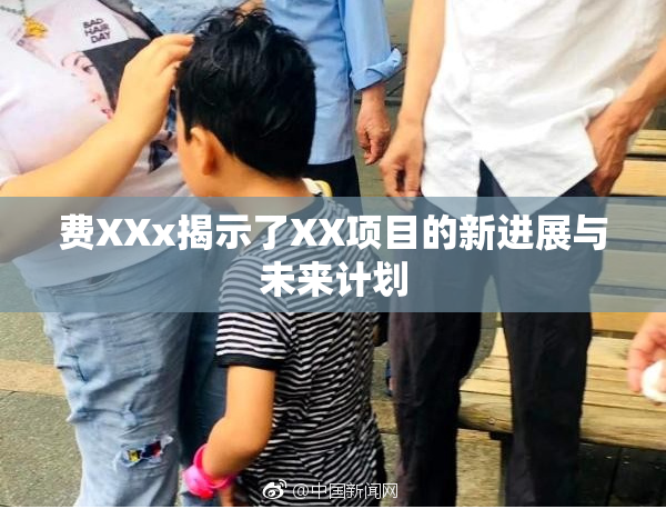 费XXx揭示了XX项目的新进展与未来计划