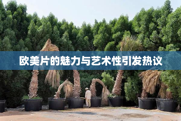 欧美片的魅力与艺术性引发热议