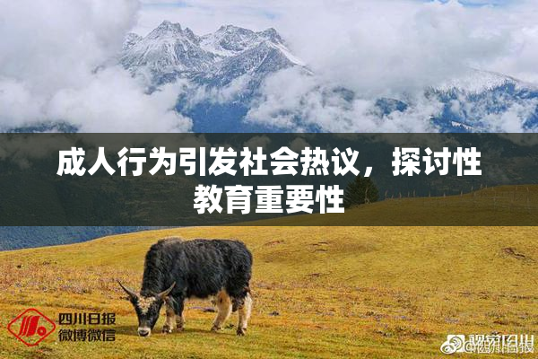 成人行为引发社会热议，探讨性教育重要性