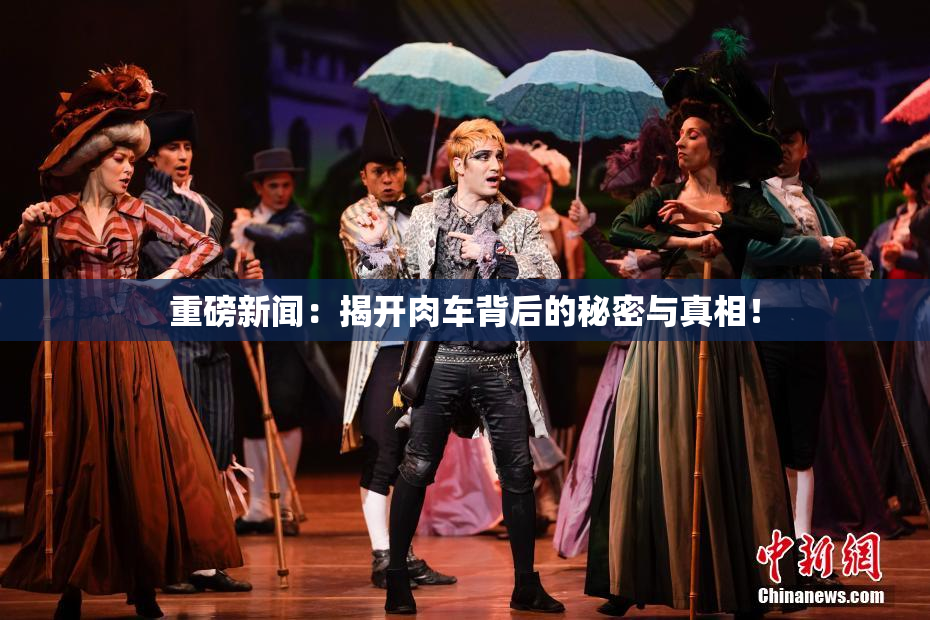 重磅新闻：揭开肉车背后的秘密与真相！