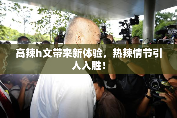 高辣h文带来新体验，热辣情节引人入胜！