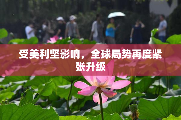 受美利坚影响，全球局势再度紧张升级