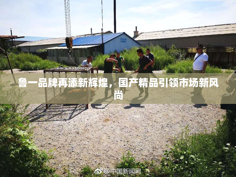 鲁一品牌再添新辉煌，国产精品引领市场新风尚
