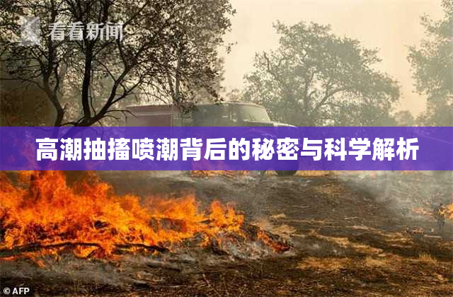 高潮抽搐喷潮背后的秘密与科学解析