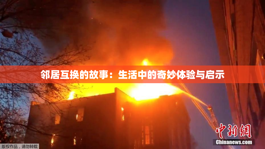 邻居互换的故事：生活中的奇妙体验与启示