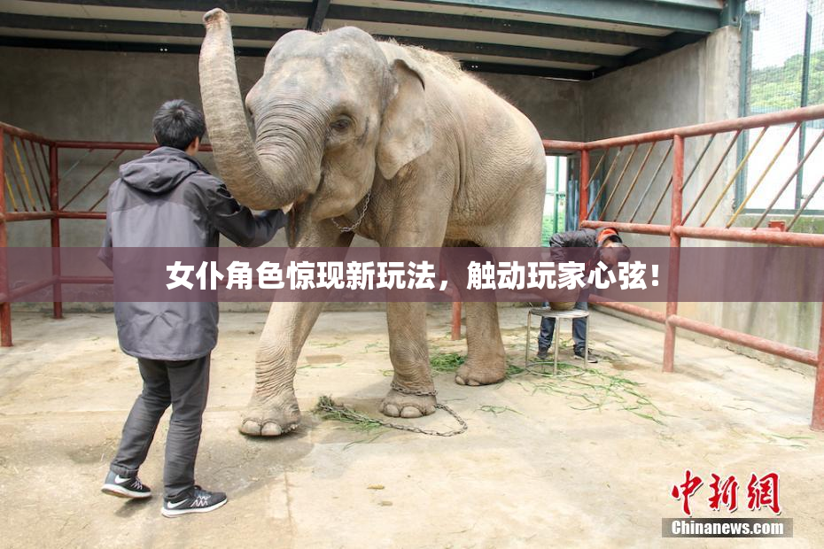 女仆角色惊现新玩法，触动玩家心弦！