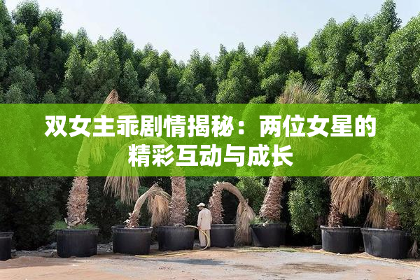 双女主乖剧情揭秘：两位女星的精彩互动与成长