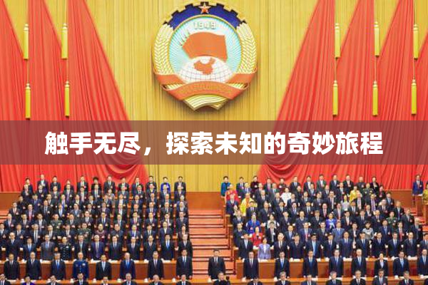 触手无尽，探索未知的奇妙旅程