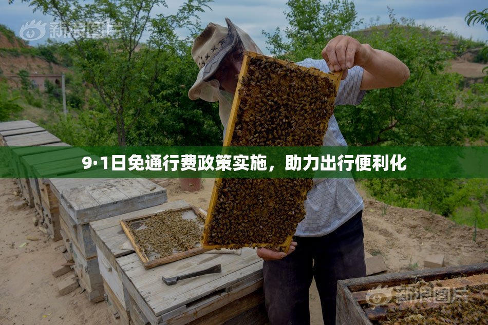 9·1日免通行费政策实施，助力出行便利化