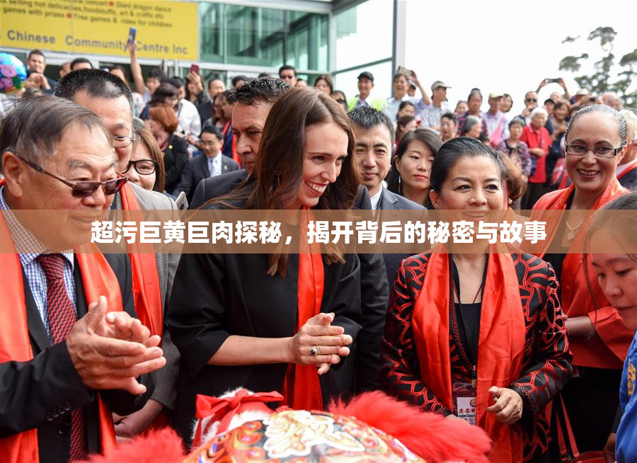 超污巨黄巨肉探秘，揭开背后的秘密与故事