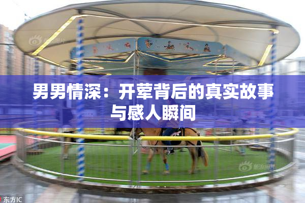 男男情深：开荤背后的真实故事与感人瞬间