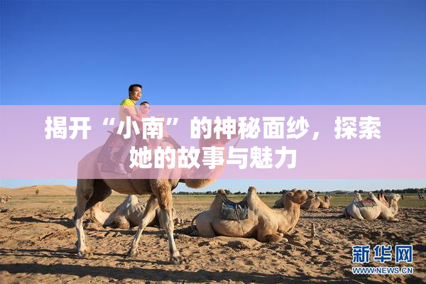 揭开“小南”的神秘面纱，探索她的故事与魅力