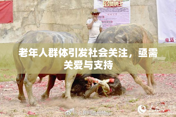 老年人群体引发社会关注，亟需关爱与支持