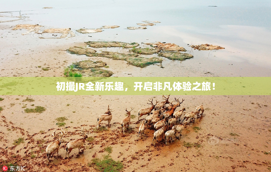 初撮JR全新乐趣，开启非凡体验之旅！