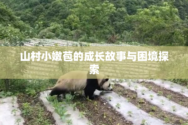 山村小嫩苞的成长故事与困境探索
