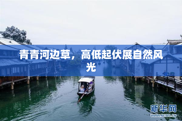 青青河边草，高低起伏展自然风光