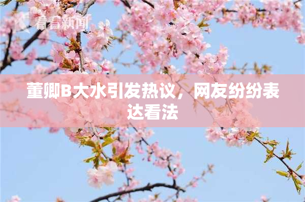 董卿B大水引发热议，网友纷纷表达看法