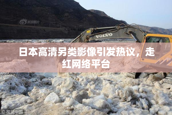 日本高清另类影像引发热议，走红网络平台