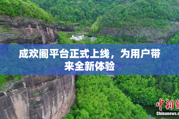成欢阁平台正式上线，为用户带来全新体验