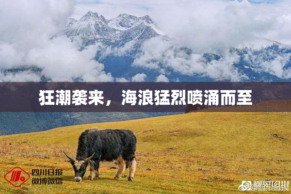 狂潮袭来，海浪猛烈喷涌而至
