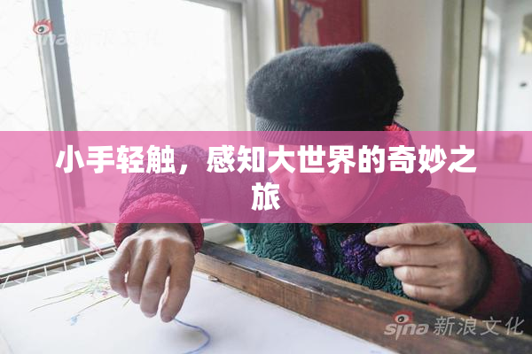 小手轻触，感知大世界的奇妙之旅