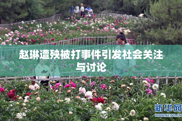 赵琳遭殃被打事件引发社会关注与讨论