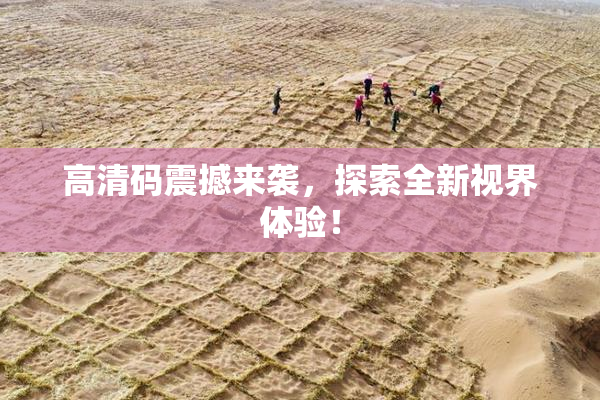 高清码震撼来袭，探索全新视界体验！