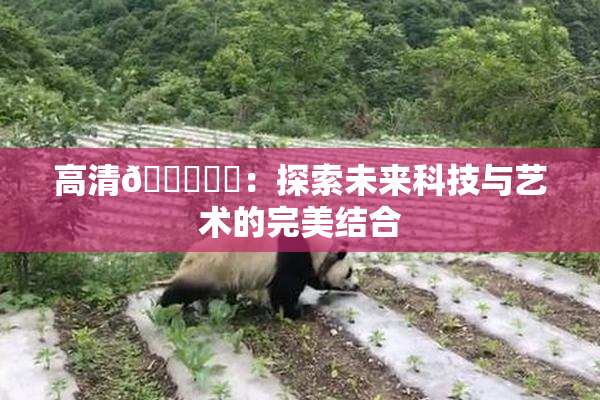 高清🔞❌‌：探索未来科技与艺术的完美结合
