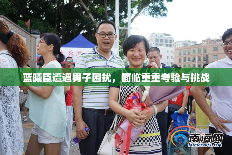 蓝曦臣遭遇男子困扰，面临重重考验与挑战