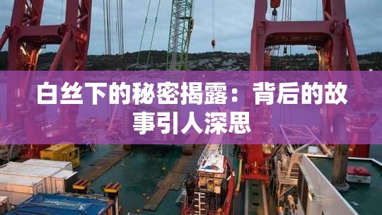 白丝下的秘密揭露：背后的故事引人深思