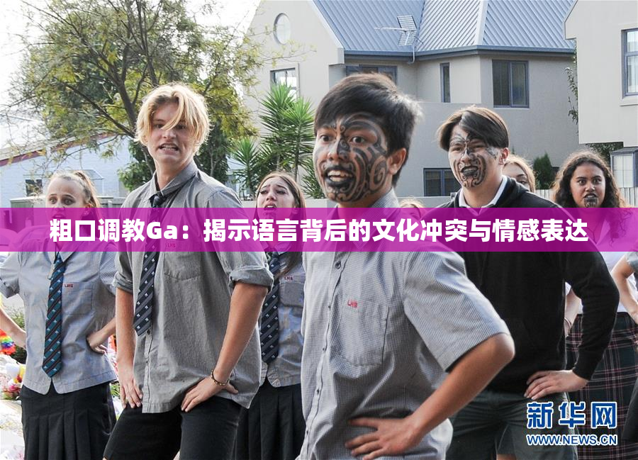 粗口调教Ga：揭示语言背后的文化冲突与情感表达