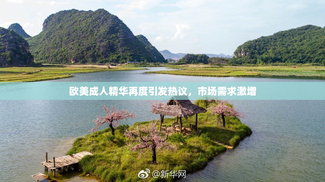 欧美成人精华再度引发热议，市场需求激增