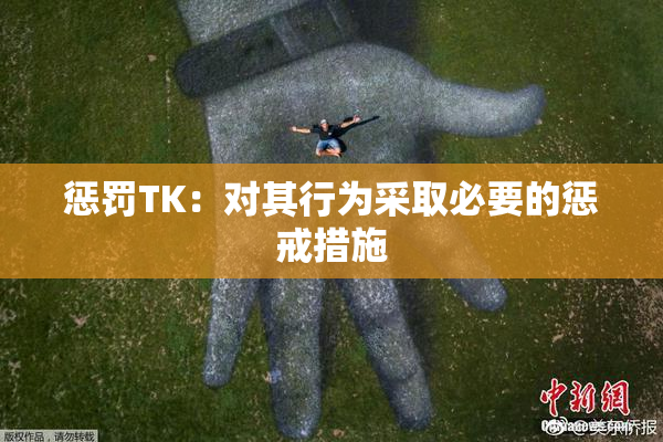 惩罚TK：对其行为采取必要的惩戒措施
